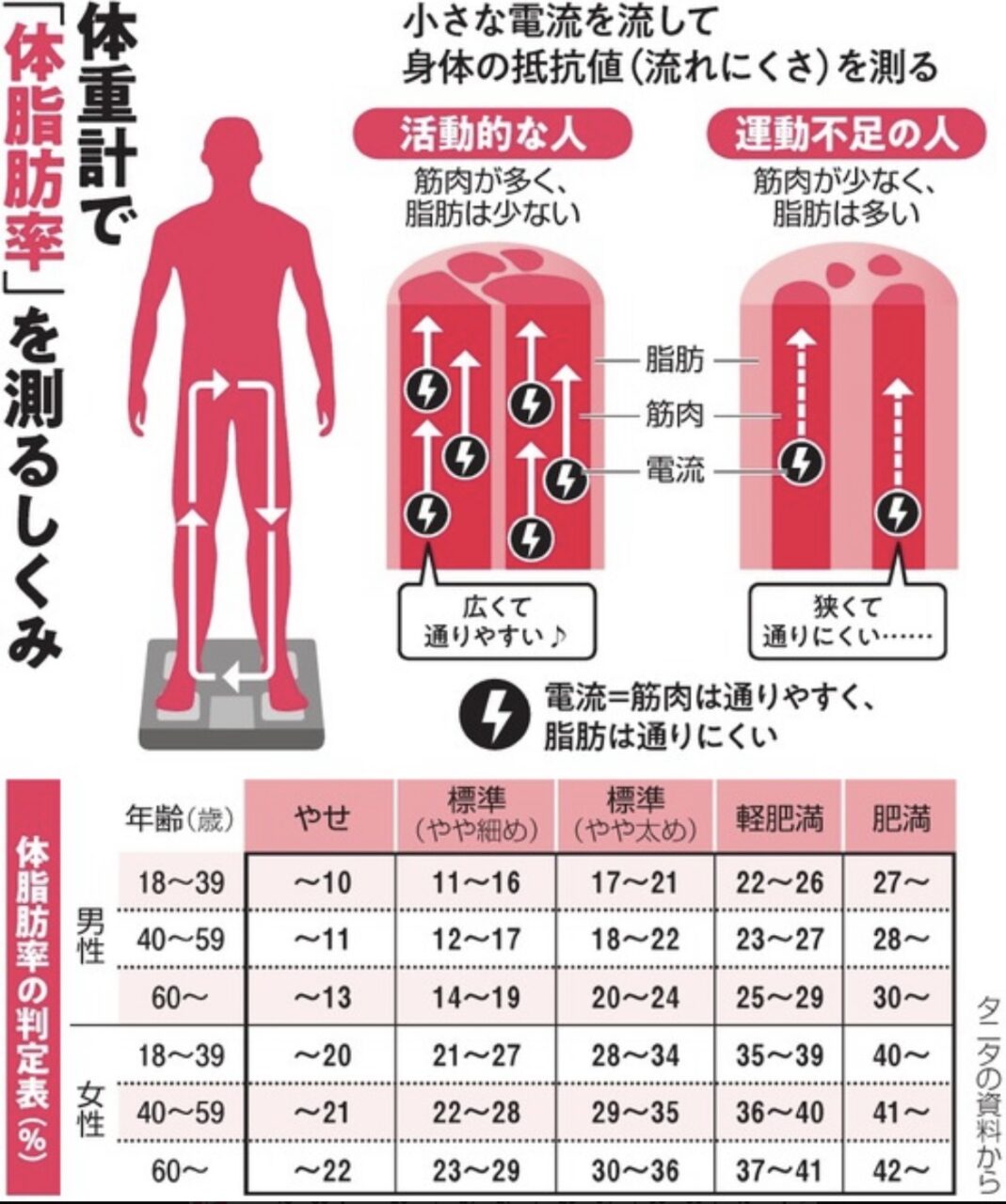 BMIより体脂肪率を気にしましょう！筋トレダイエットでは体重ではなく筋肉量を維持することを重視します｜恵比寿パーソナルトレーニングのマインドボディ